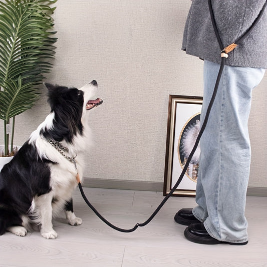 Braided Hands-Free Dog Leash