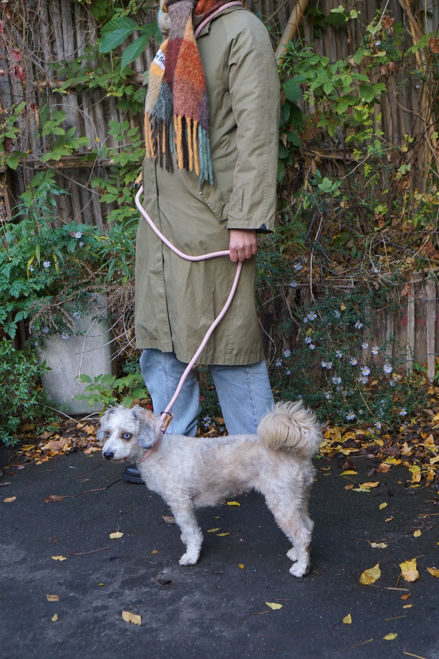 Adjustable P-Shape Dog Leash – Hands-Free & Multi-Functional Design