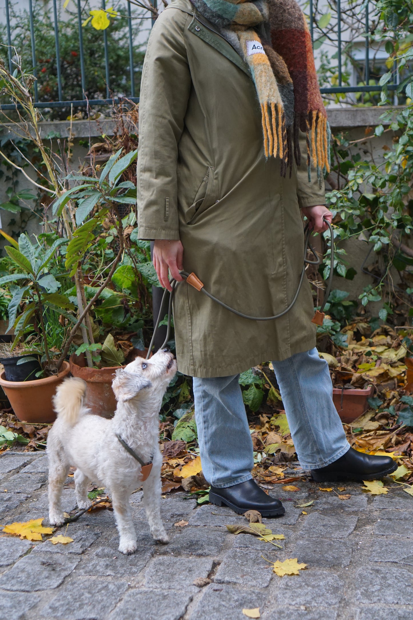 Dual-Head Dog Harness & Leash – Adjustable All-in-One Design