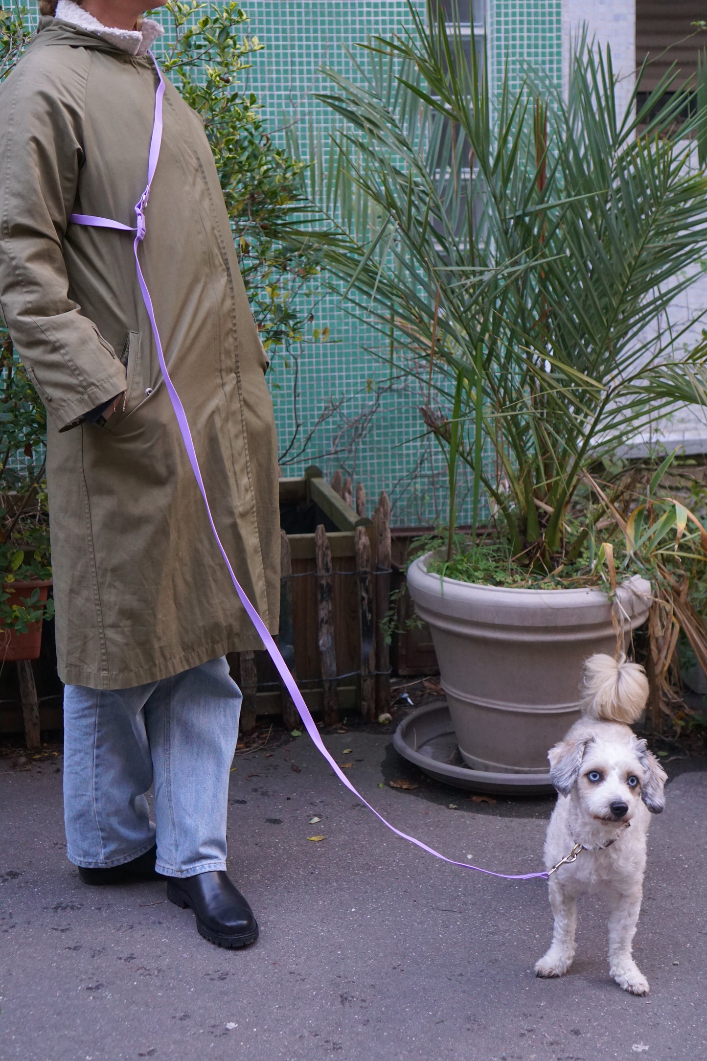 Versatile Hands-Free Dog Leash – Waterproof & Adjustable