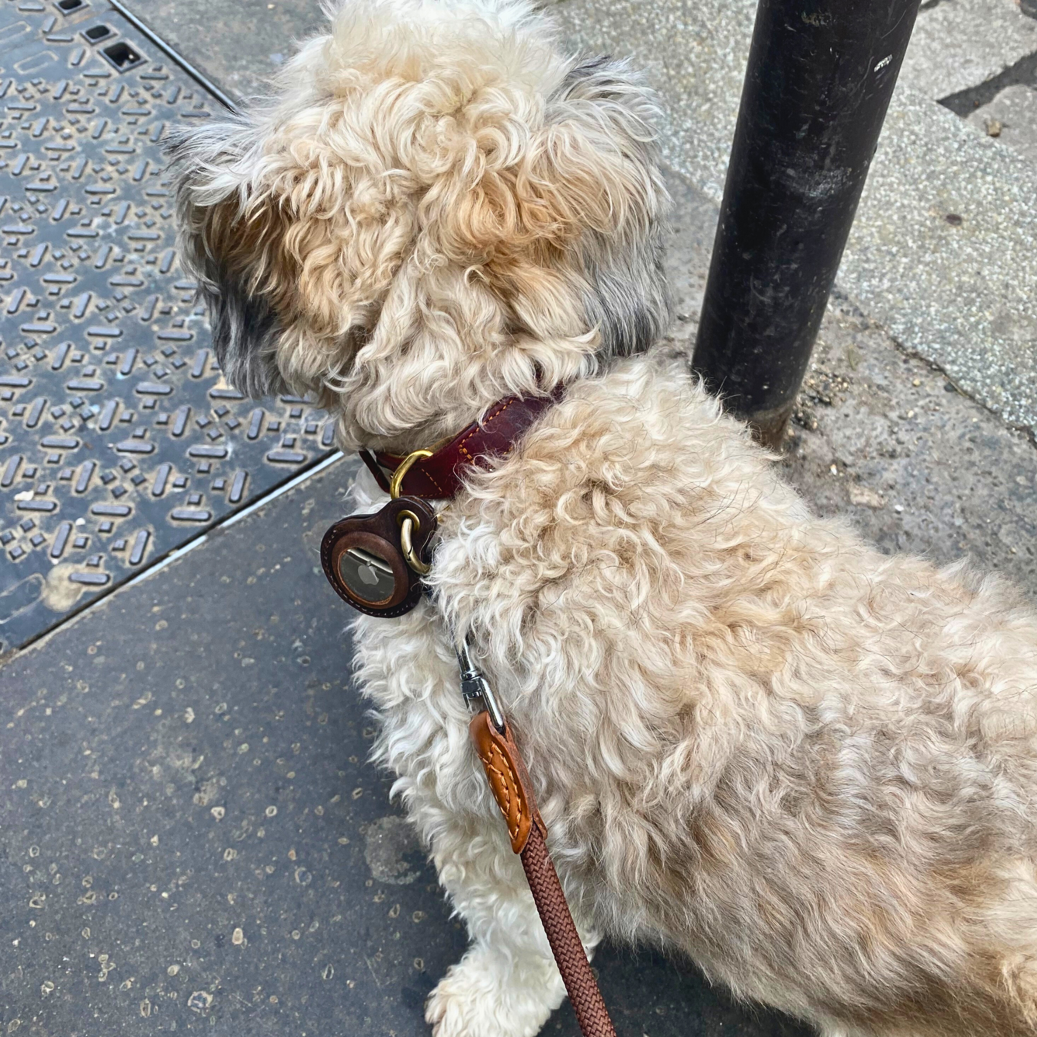 Genuine Leather AirTag Holder for Dog Collar