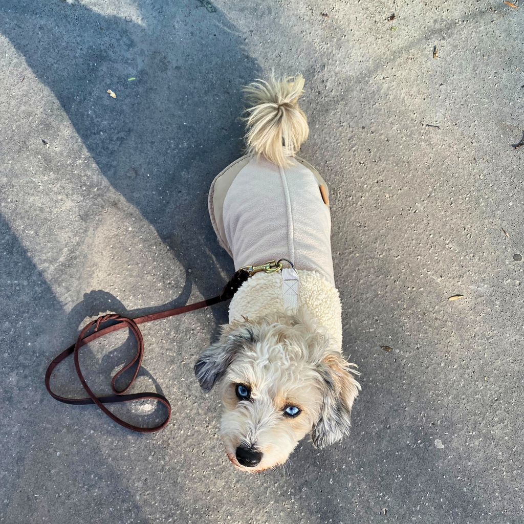 Genuine Leather Braided Dog Leash