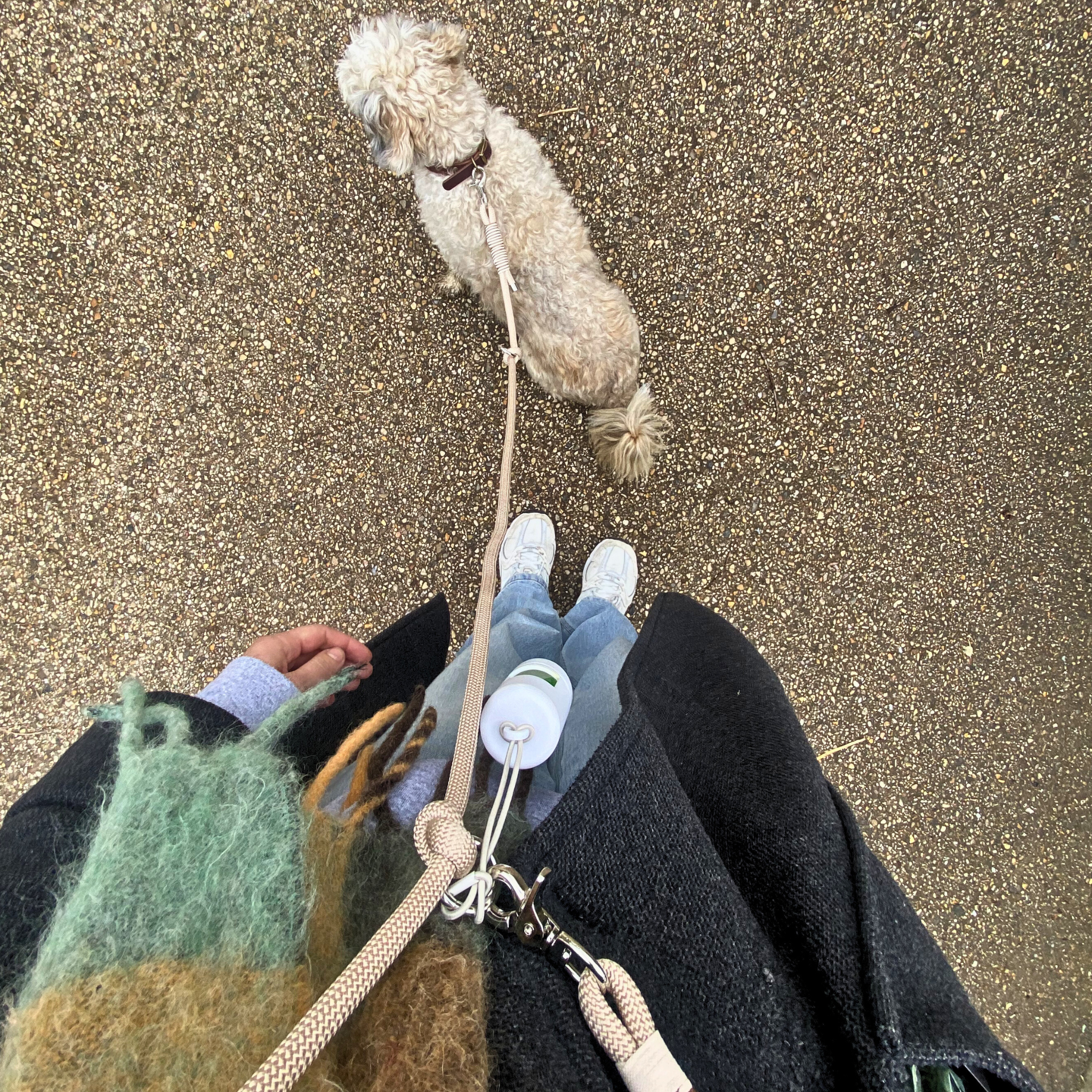 Braided Multifunctional Dog Leash – Double Buckle