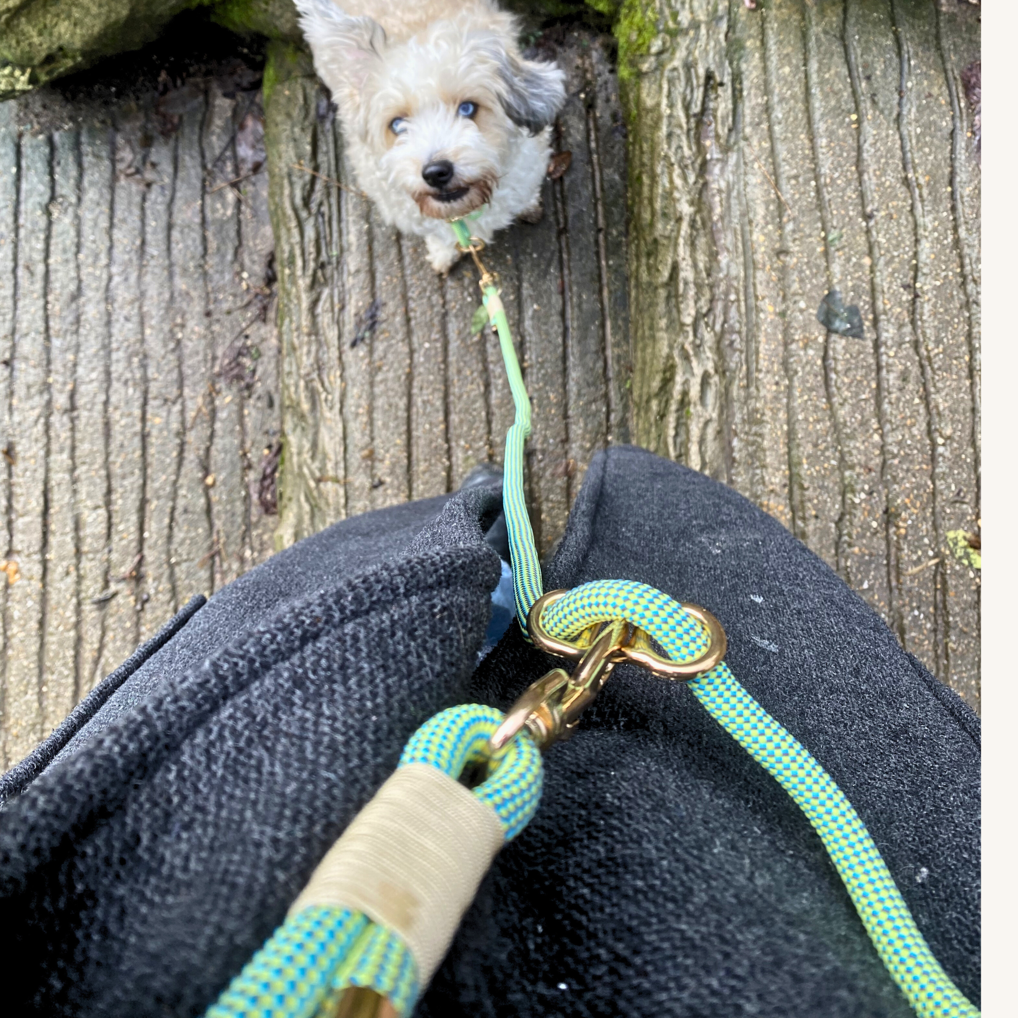 Rope Collar & Hands-Free Leash Set