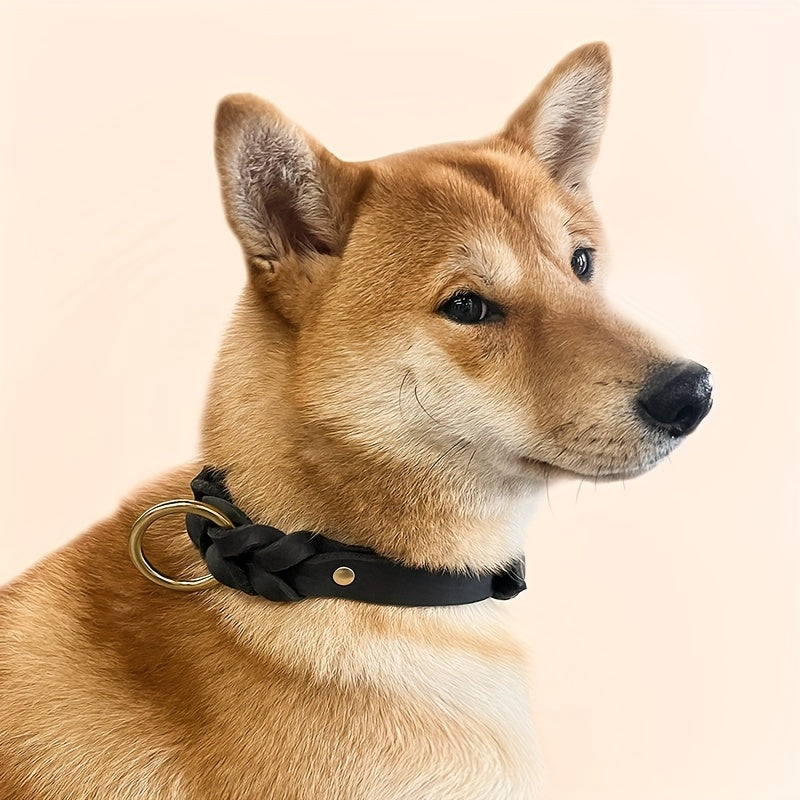 Premium Leather Dog Collar with Gold-Tone Buckle