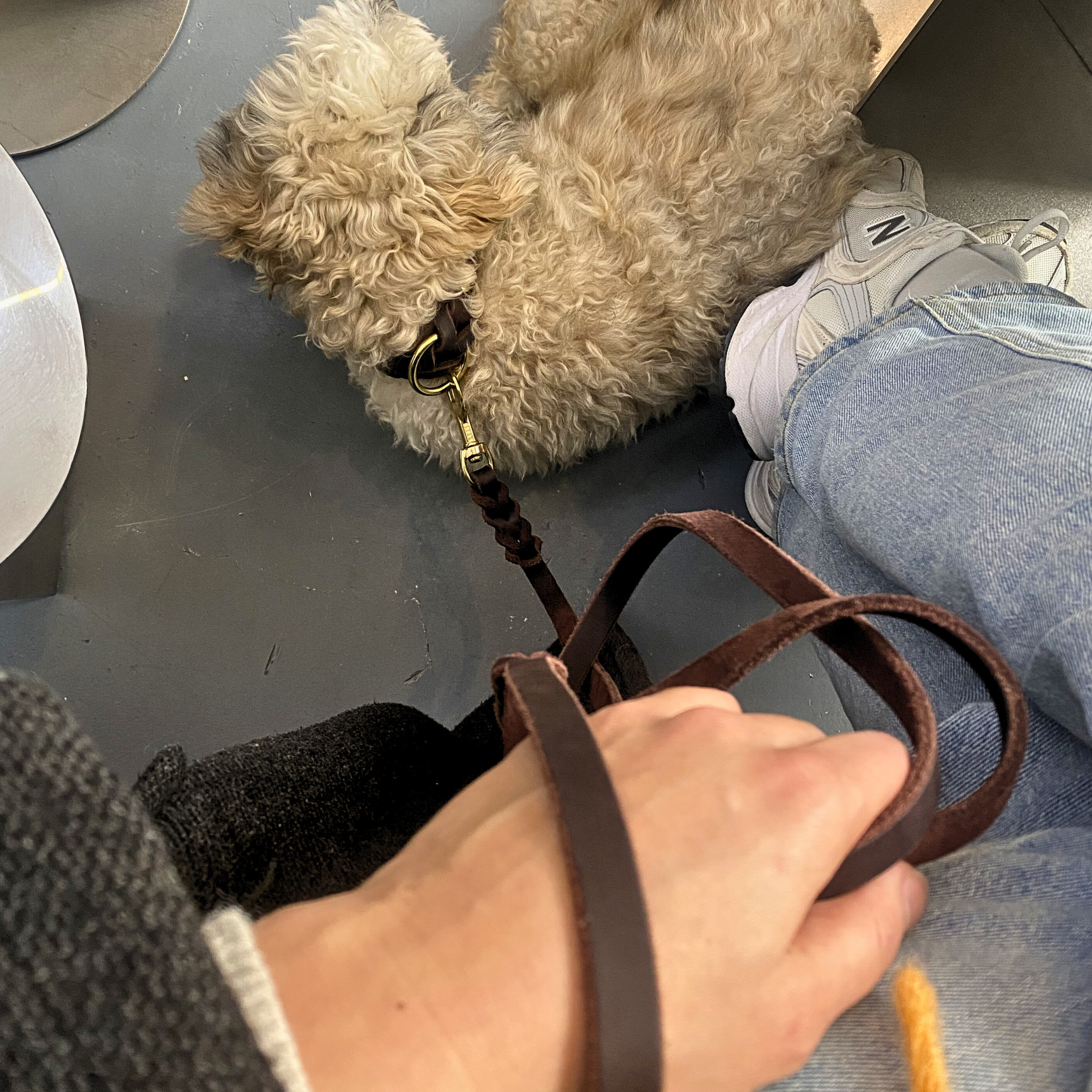 Genuine Leather Dog Collar & Leash Set