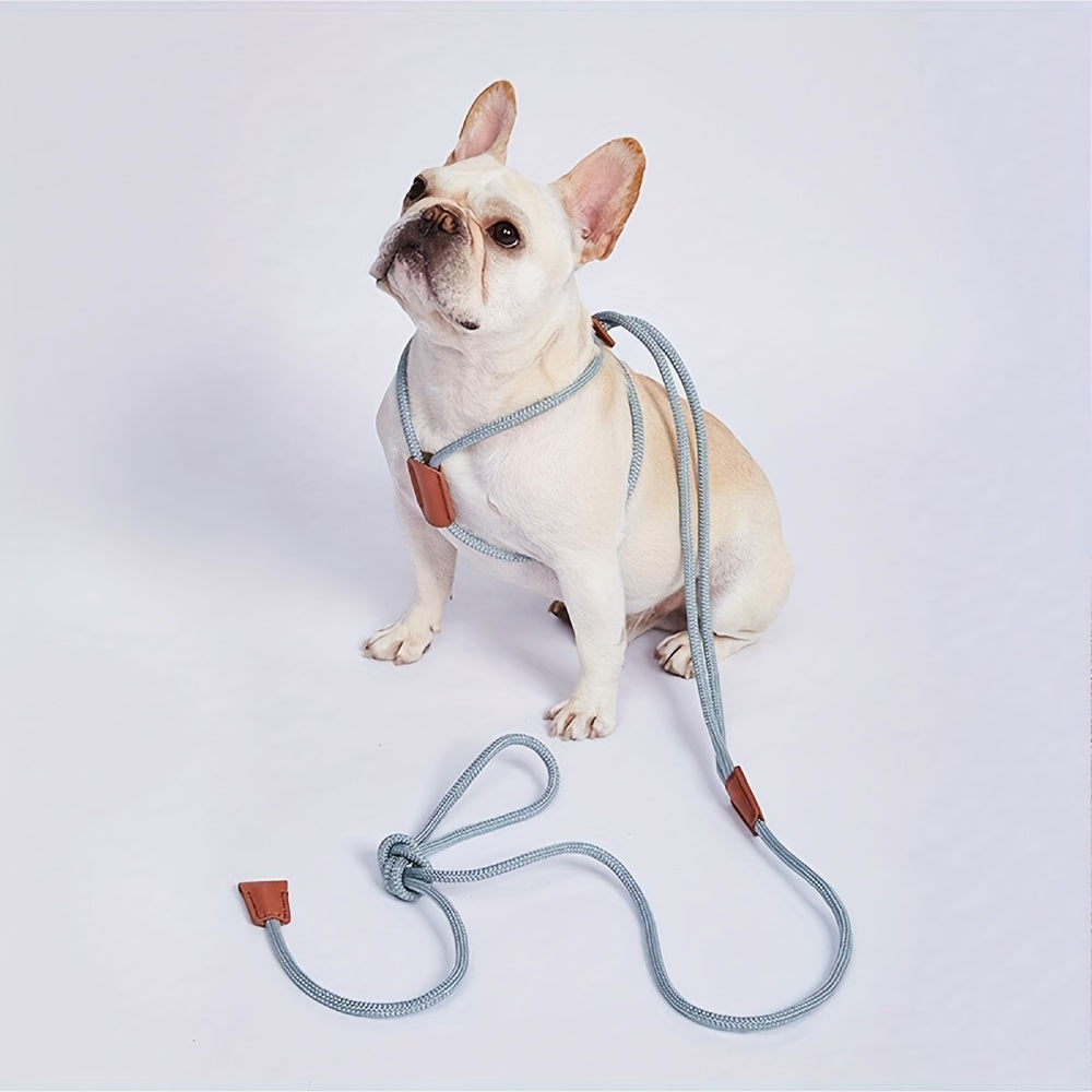 Dual-Head Dog Harness & Leash – Adjustable All-in-One Design