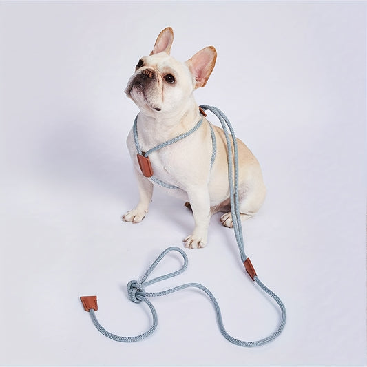 Dual-Head Dog Harness & Leash – Adjustable All-in-One Design