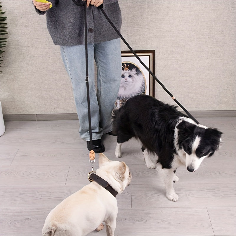 Braided Hands-Free Dog Leash