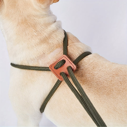 Dual-Head Dog Harness & Leash – Adjustable All-in-One Design