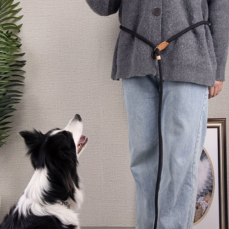 Braided Hands-Free Dog Leash