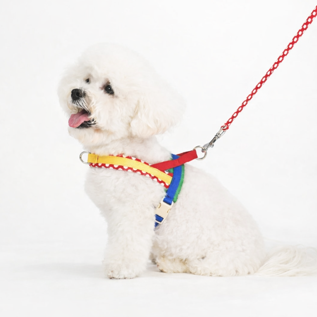 Dog Harness & Leash Set "Good Vibes"