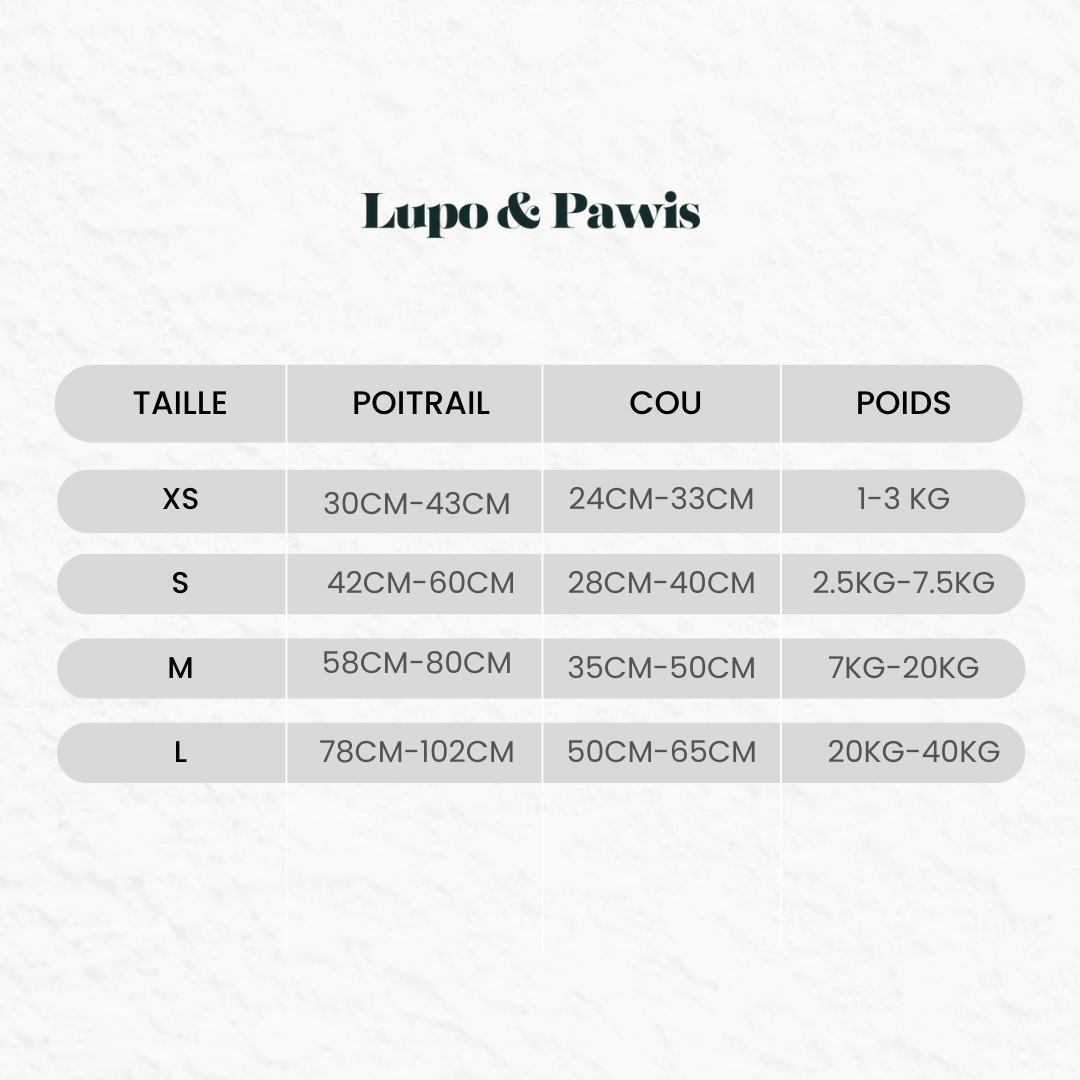 Set Leash and Harness "Green Dream"