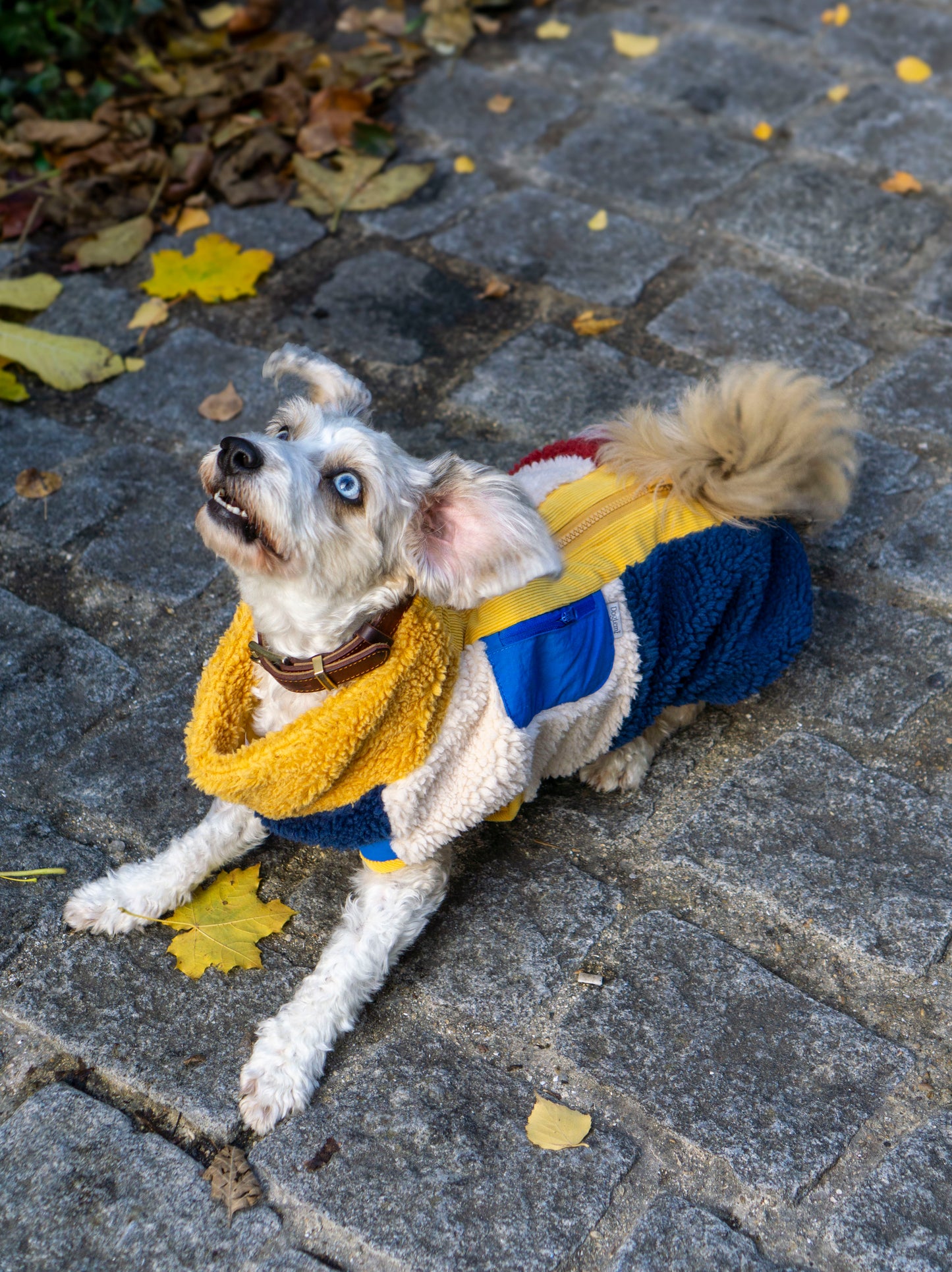 Winter Dog Coat – Fleece-Lined & Zipper Closure