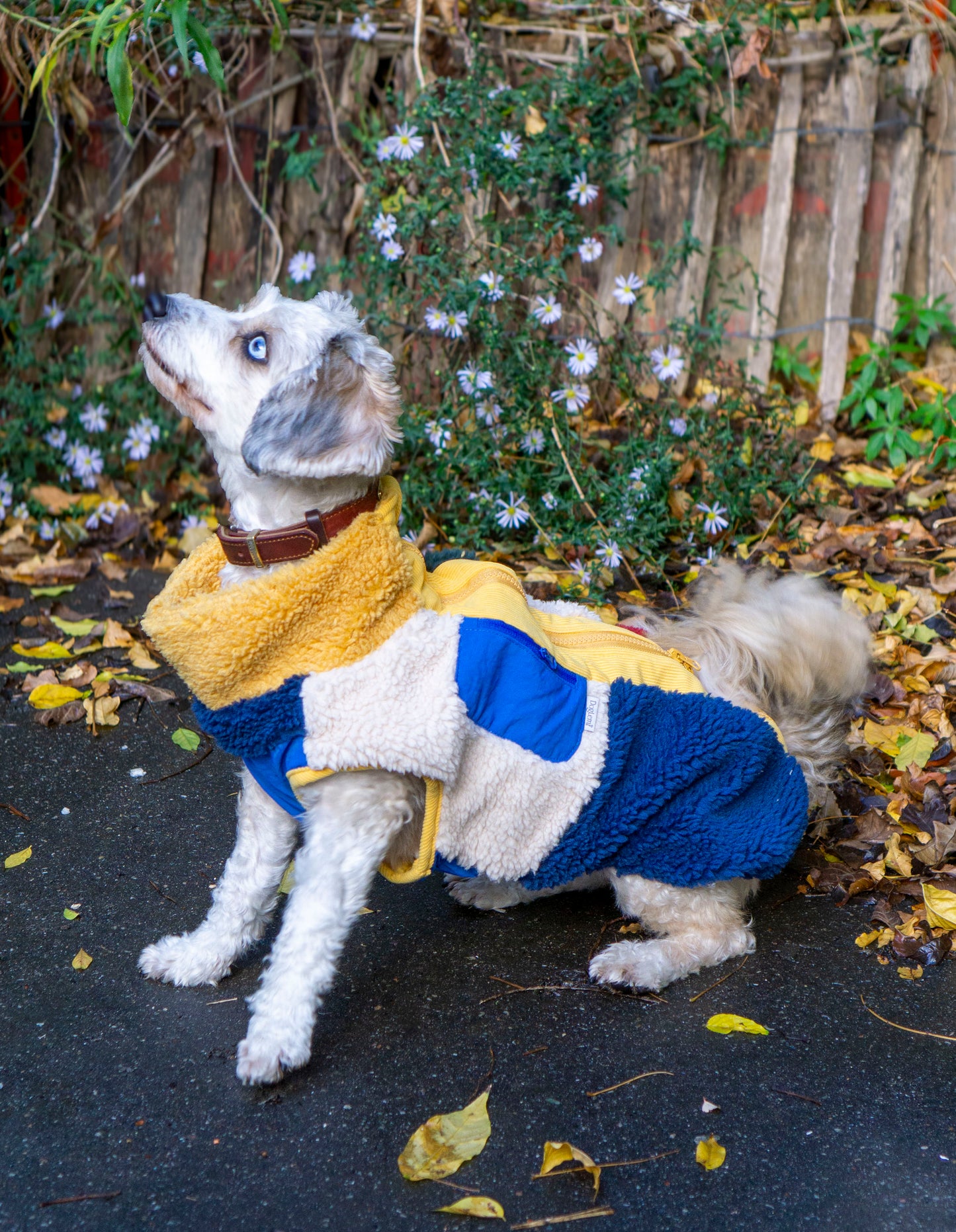 Winter Dog Coat – Fleece-Lined & Zipper Closure