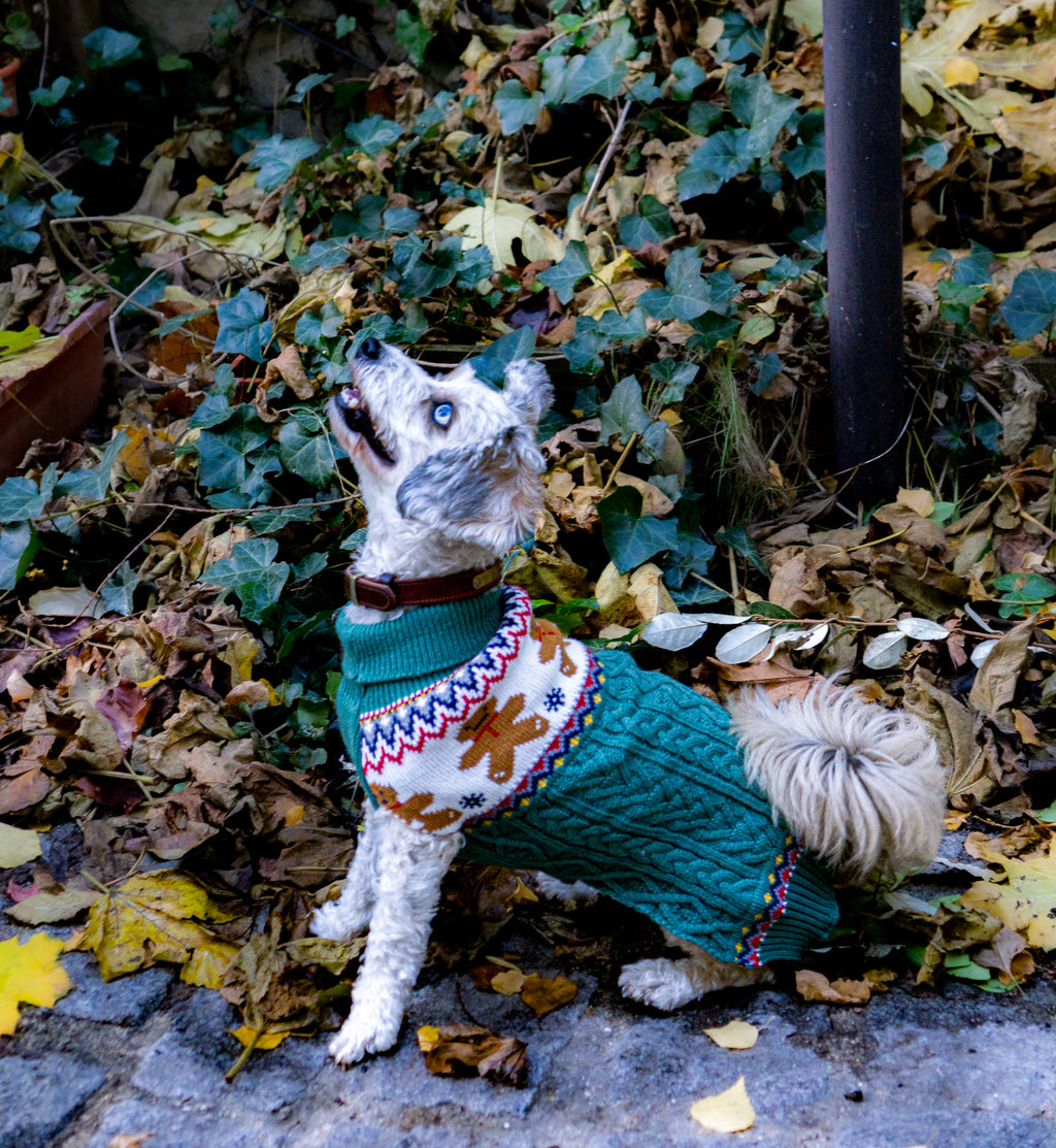 Christmas Dog Sweater
