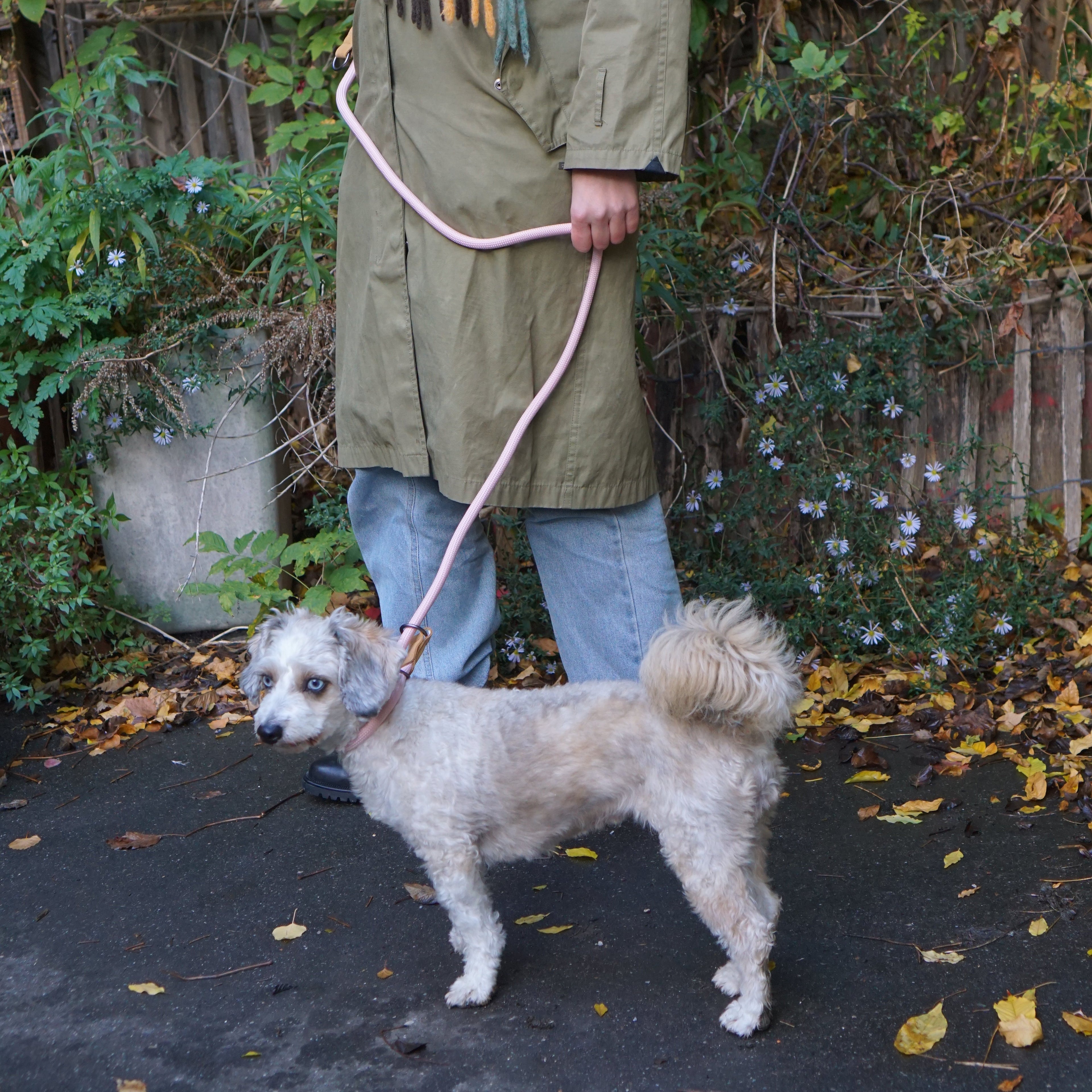 Multi-functional adjustable P-shape dog leash