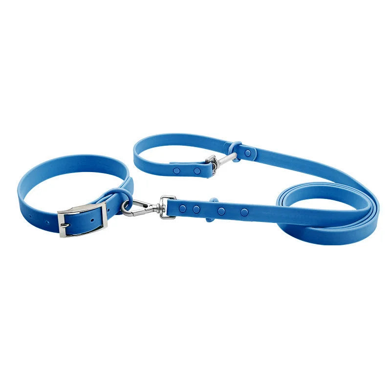 Waterproof Dog Collar & Leash Set