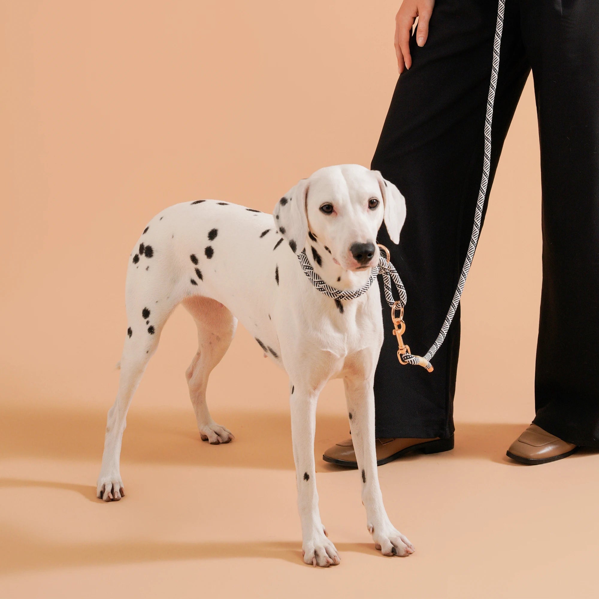 Rope Collar & Hands-Free Leash Set