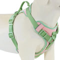 Harnais Chien Anti-Traction "Bono"