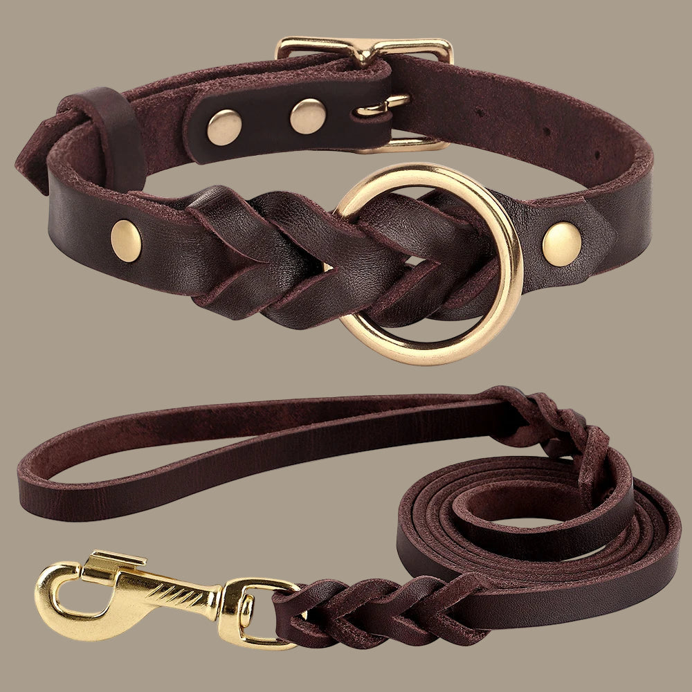 Genuine Leather Dog Collar & Leash Set