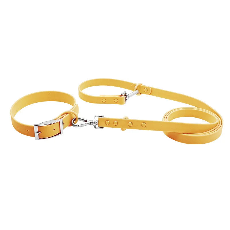 Waterproof Dog Collar & Leash Set