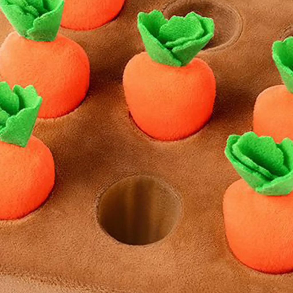 Dog Snuffle Mat Carrot Puzzle