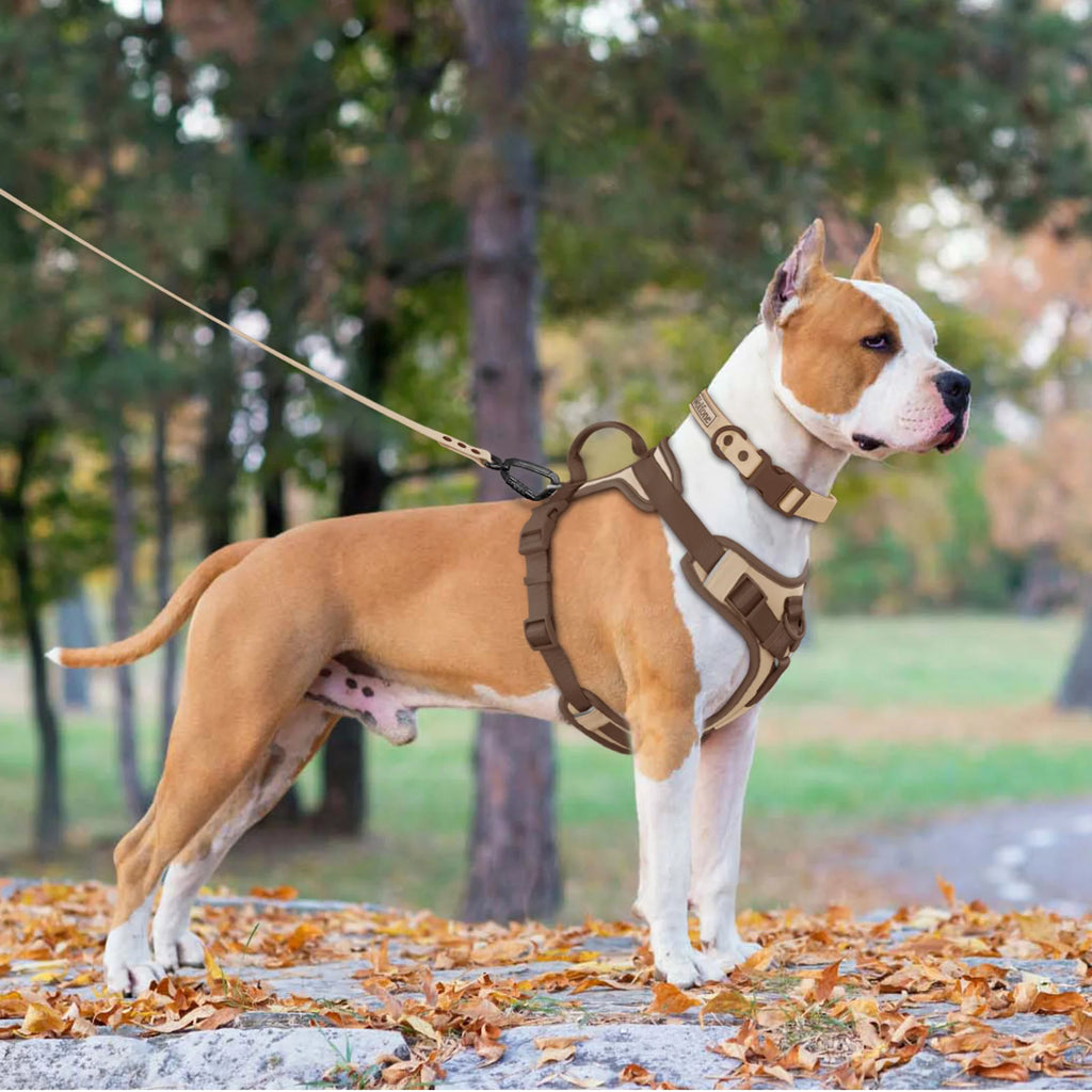Harnais Chien Anti-Traction "Bono"