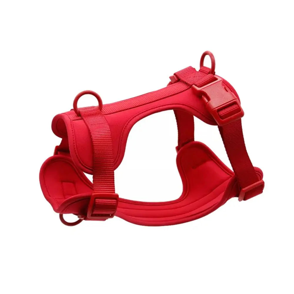 No-Pull Dog Harness – Front & Back Leash Attachments