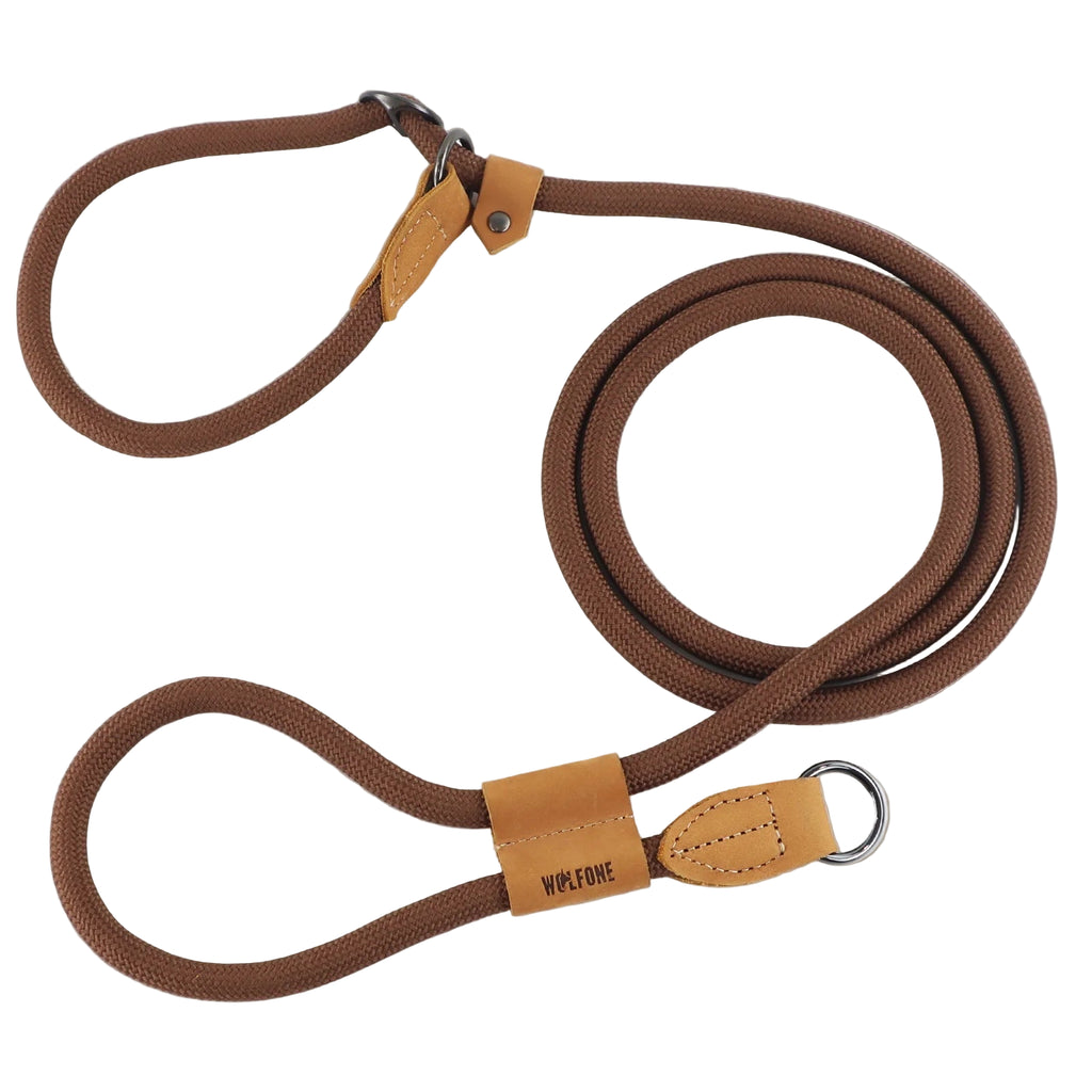 Multi-functional adjustable P-shape dog leash