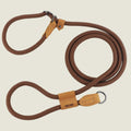 Brown dog leash with leather handle and metal clip on a white background