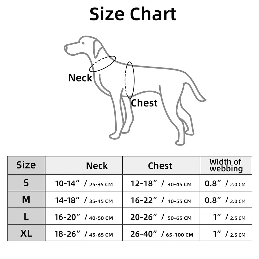 Harnais Anti-Traction Colorsmash