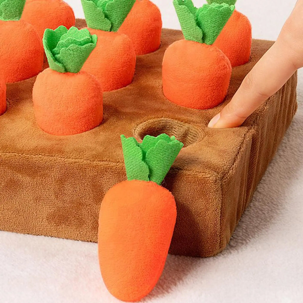 Dog Snuffle Mat Carrot Puzzle