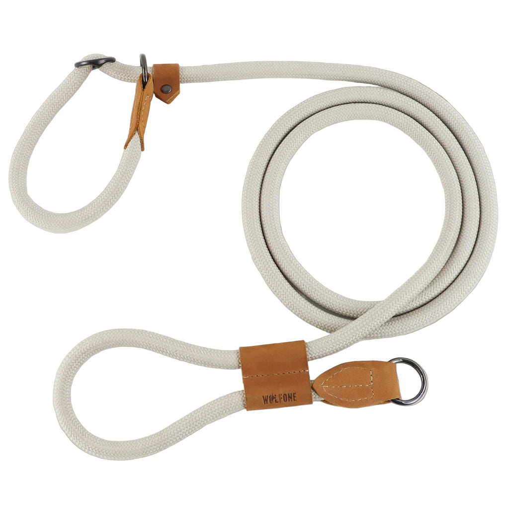 Multi-functional adjustable P-shape dog leash