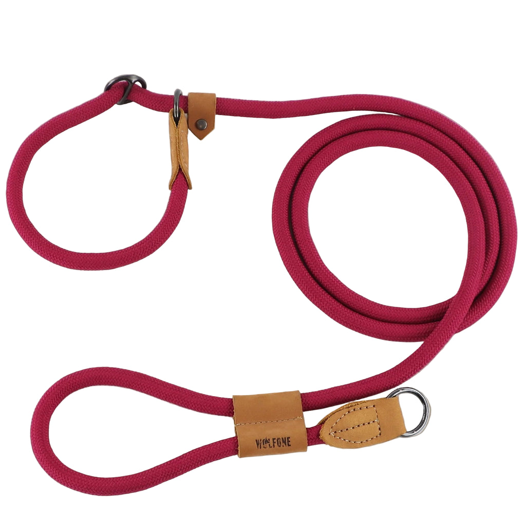 Multi-functional adjustable P-shape dog leash