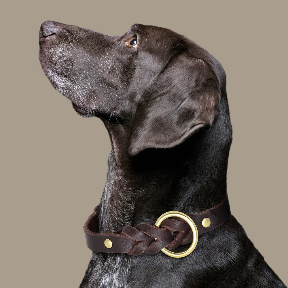 Genuine Leather Dog Collar & Leash Set