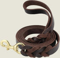 Brown leather dog leash with a gold clasp on a white background