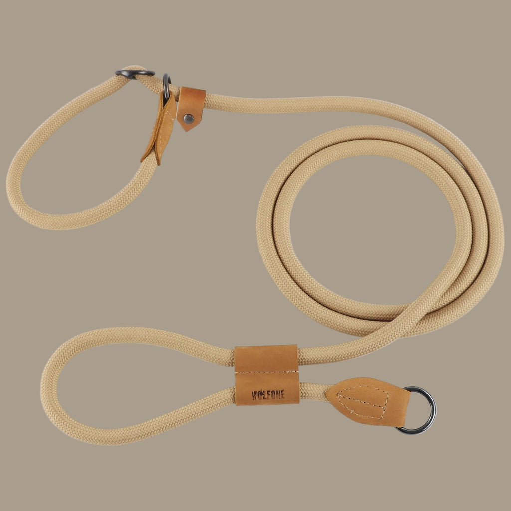 Multi-functional adjustable P-shape dog leash
