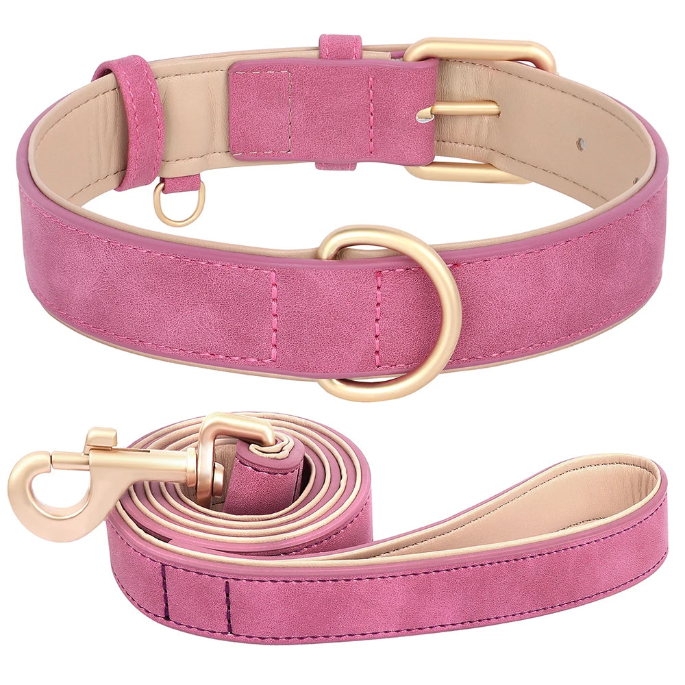Soft Padded PU Leather Dog Collar & Leash