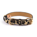 Leopard Print Dog Collar
