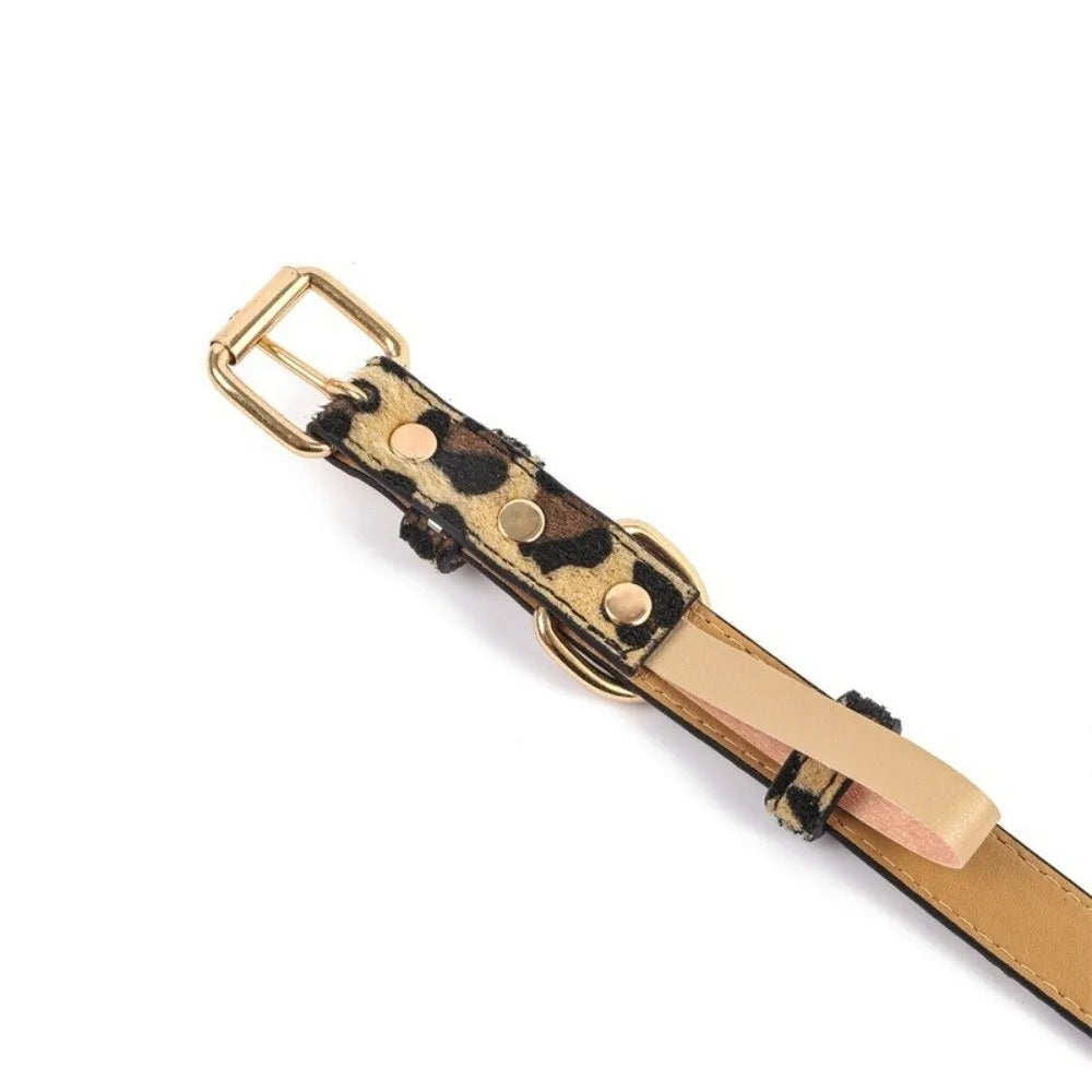 Leopard Print Dog Collar