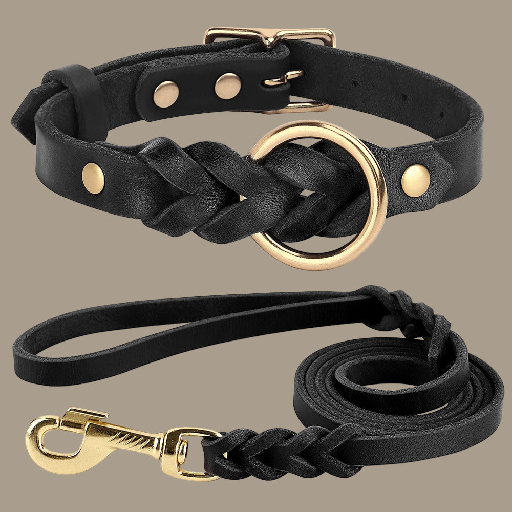 Genuine Leather Dog Collar & Leash Set