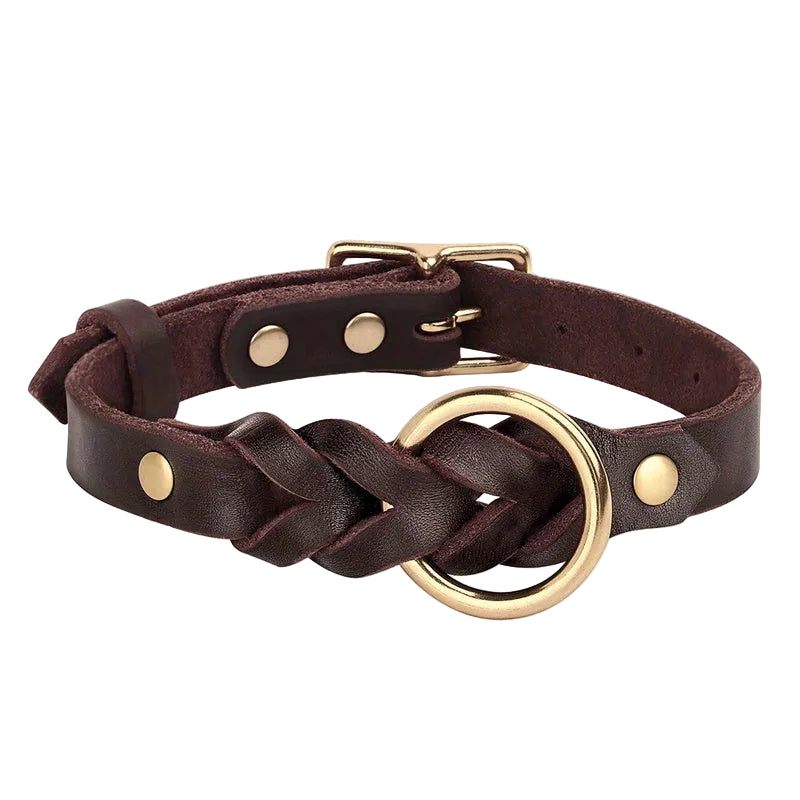 Premium Leather Dog Collar with Gold-Tone Buckle