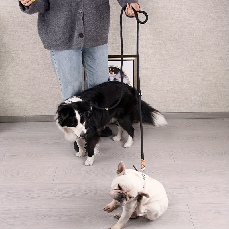 Braided Hands-Free Dog Leash