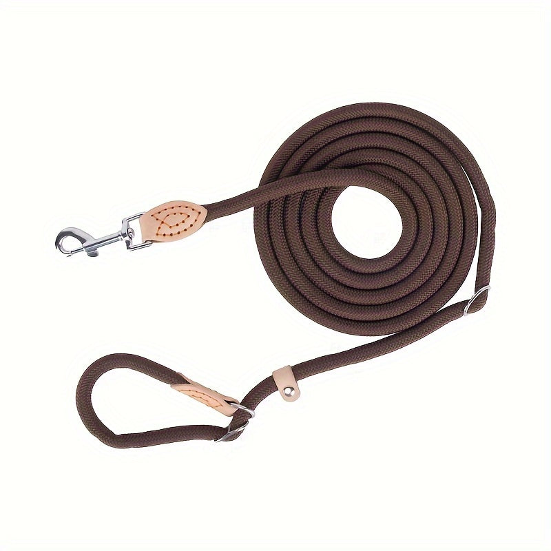 Braided Hands-Free Dog Leash