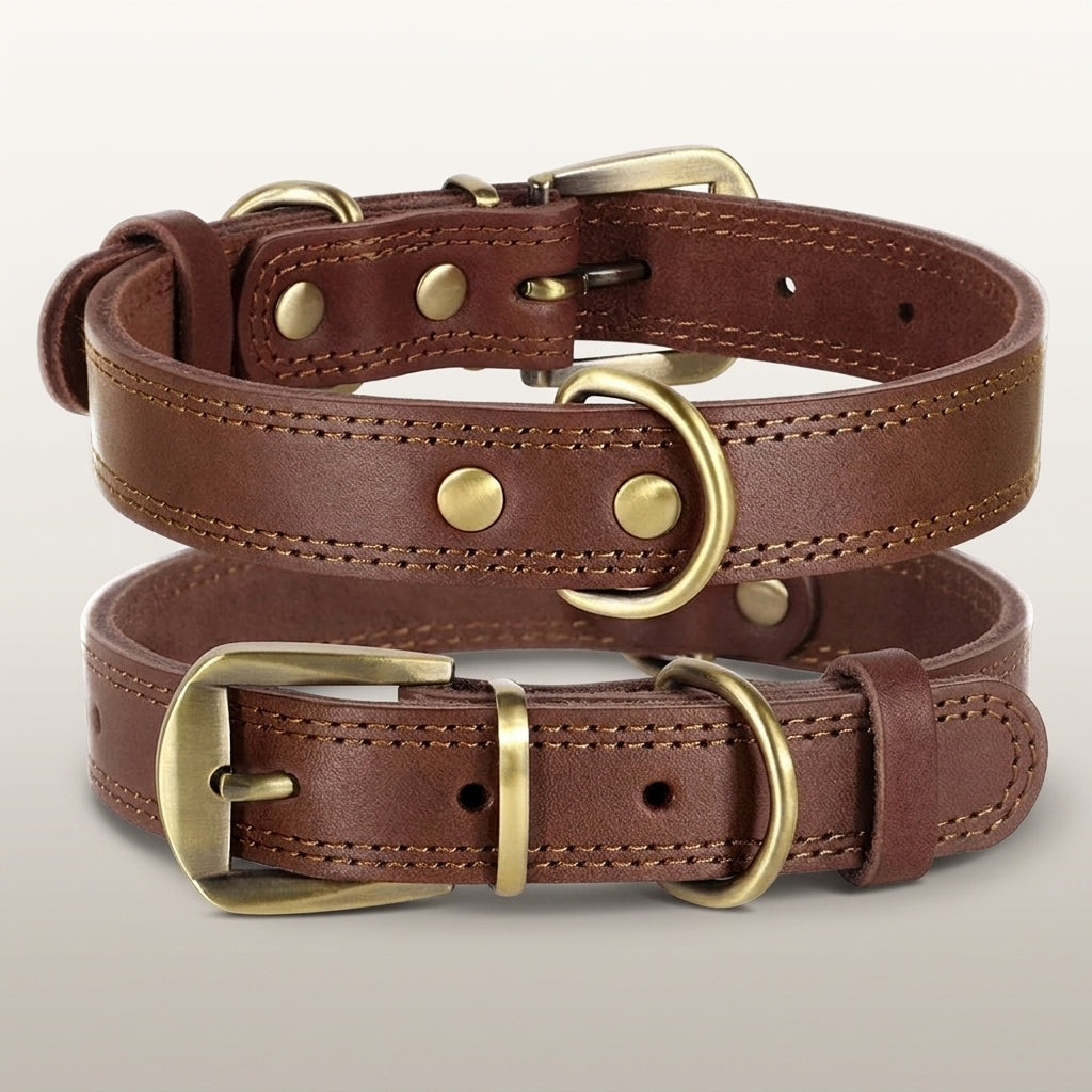 Genuine Leather Dog Collar – Adjustable & Durable